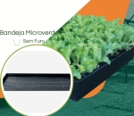 Bandeja Microverdes s/ furos - Kit com 30 peças