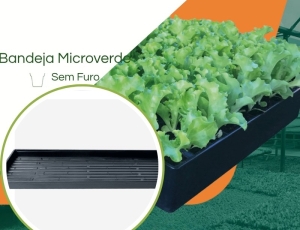 Bandeja Microverdes s/ furos - Kit com 30 peças