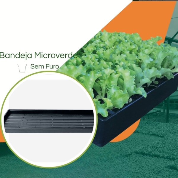 Bandeja Microverdes s/ furos - Kit com 30 peças