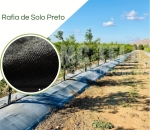 RAFIA de Solo 90g/m2 preto - 3,40