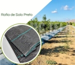 RAFIA de Solo 90g/m2 preto - 3,40