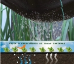 RAFIA de Solo 90g/m2 preto - 3,40