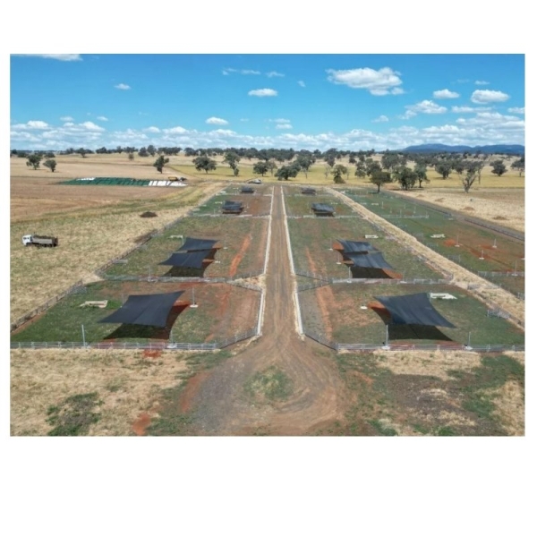 RAFIA de Solo 90g/m2 preto - 3,40