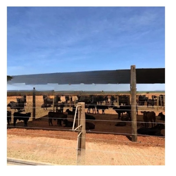 RAFIA de Solo 90g/m2 preto - 3,40