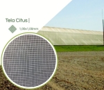 Tela Citrus Anti Inseto 1mm
