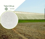 Tela Citrus Anti Inseto 1mm