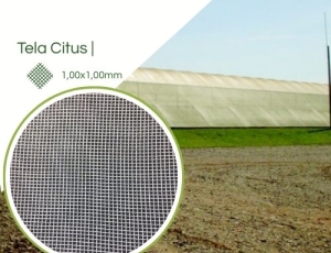 Tela Citrus Anti Inseto 1mm