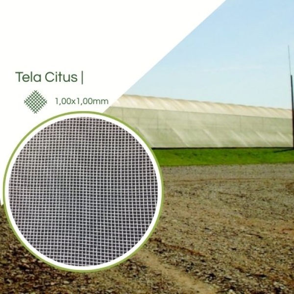Tela Citrus Anti Inseto 1mm