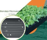 Bandeja Microverdes c/ furos - Kit com 30 peças
