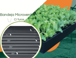 Bandeja Microverdes c/ furos - Kit com 30 peças