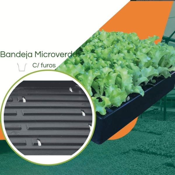 Bandeja Microverdes c/ furos - Kit com 30 peças