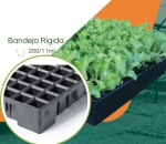 Bandeja ECO 200/11ML - cel. Piramidal  - Kit com 10 peças