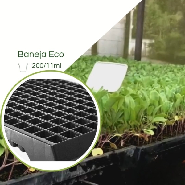 Bandeja ECO 200/11ML - cel. Piramidal  - Kit com 10 peças