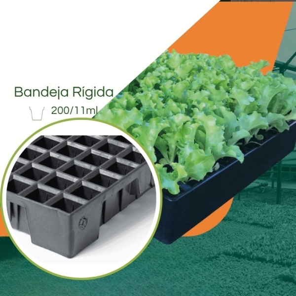 Bandeja ECO 200/11ML - cel. Piramidal  - Kit com 10 peças