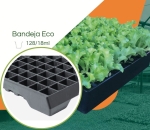 Bandeja ECO 128/18ML - Cel. Piramidal  - Kit com 10 peças