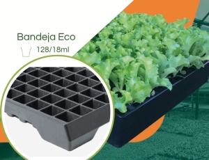 Bandeja ECO 128/18ML - Cel. Piramidal  - Kit com 10 peças