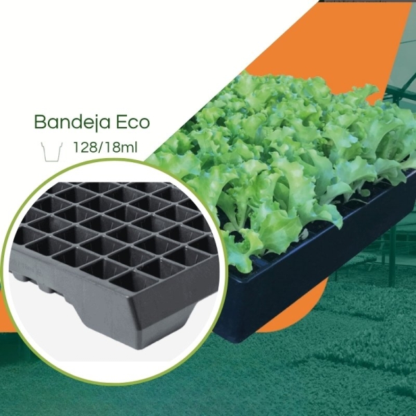 Bandeja ECO 128/18ML - Cel. Piramidal  - Kit com 10 peças