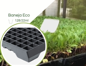 Bandeja ECO 128/22ML - Cel. Quadrada (Hidroponia) - Kit com 10 peças
