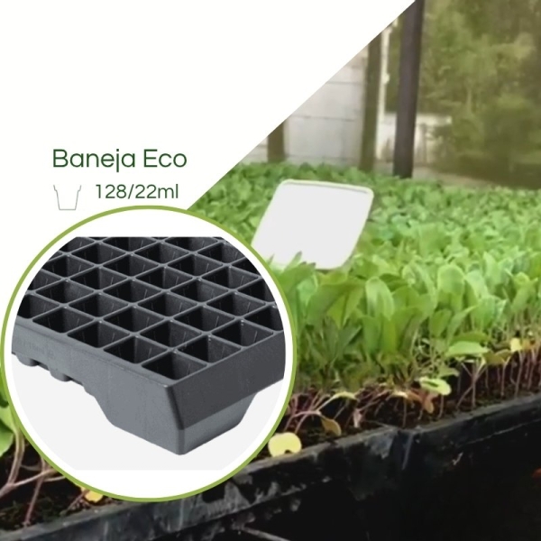 Bandeja ECO 128/22ML - Cel. Quadrada (Hidroponia) - Kit com 10 peças