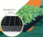 Bandeja ECO 50/90ML - Cel. Quadrada - Kit com 10 pç