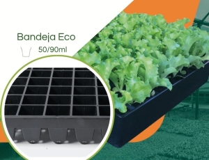 Bandeja ECO 50/90ML - Cel. Quadrada - Kit com 10 pç