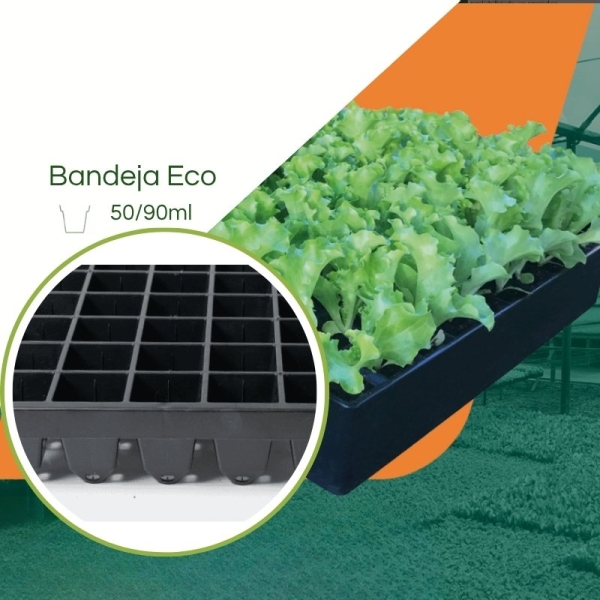 Bandeja ECO 50/90ML - Cel. Quadrada - Kit com 10 pç