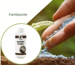 Fertilizante Boro Octaborato Basfoliar Citobor 1 L