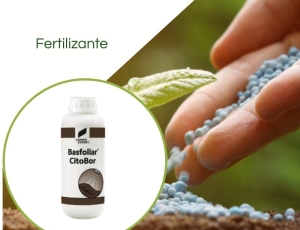 Fertilizante Boro Octaborato Basfoliar Citobor 1 L