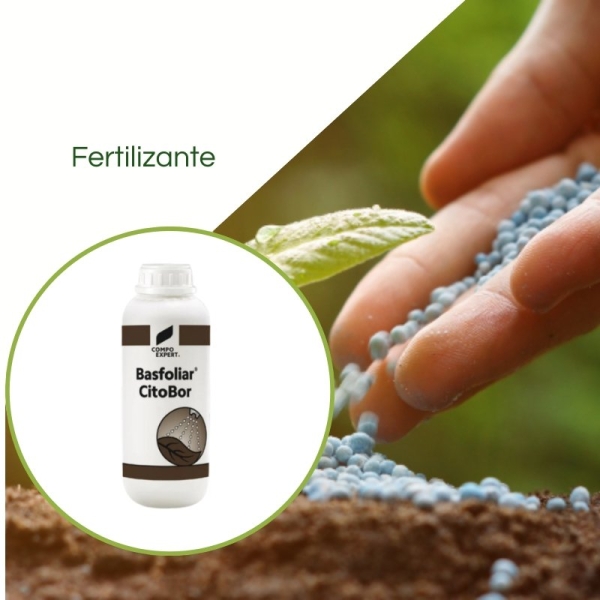 Fertilizante Boro Octaborato Basfoliar Citobor 1 L