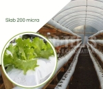 Saco para cultivo SLAB dupla face  - 0,33 X 1,60  