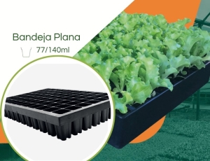 Bandeja  77/140 ML - Kit c/ 05 pç