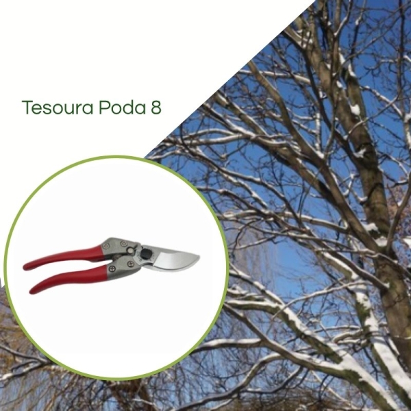 Tesoura de poda profissional LIMMAT 8