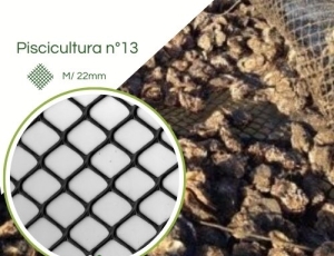 Tela Armadilha nº 13 Preta