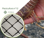 Tela para Lagosta nº 12 Malha 50mm  Preta