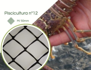 Tela para Lagosta nº 12 Malha 50mm  Preta