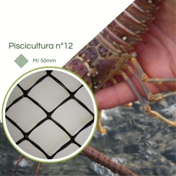 Tela para Lagosta nº 12 Malha 50mm  Preta
