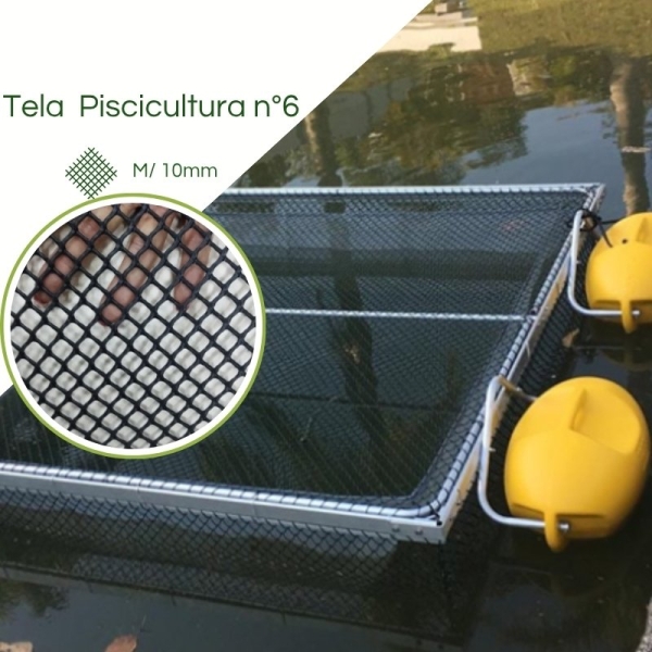 Tela Engorda n° 6 Preta EB6/M10-11mm