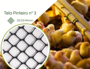 Tela Plástica Pinteiro 1' Pesada N° 3 