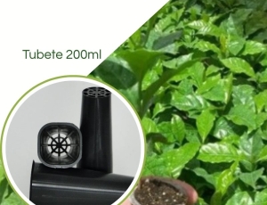 Tubete 200mL  p/ Produção de Mudas de Café 