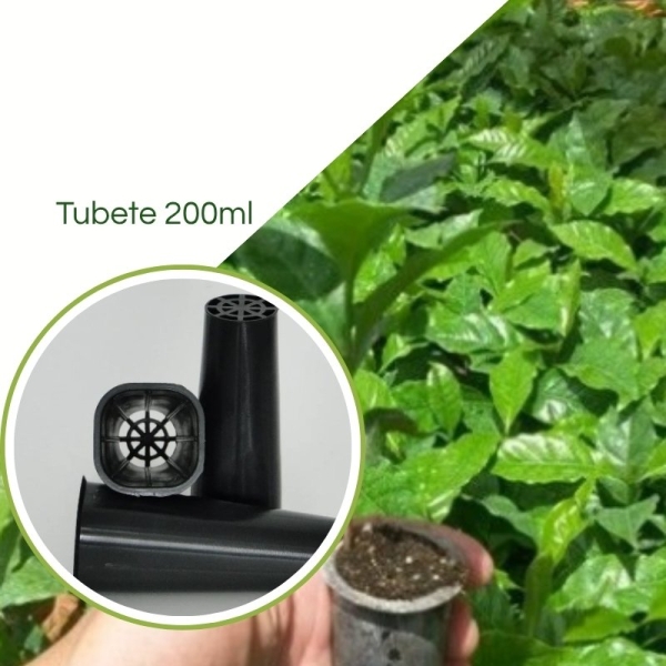 Tubete 200mL  p/ Produção de Mudas de Café 