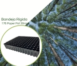 Kit 1 Bandeja Plana 176 Células +TB 55cm para Produção de Mudas Eucalipto