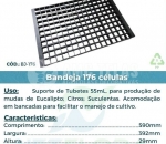 Kit 1 Bandeja Plana 176 Células Completa Com Tubetes 55cm para Produção de Mudas Eucalipto