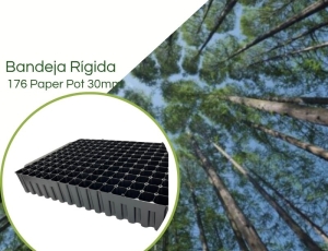 Kit 1 Bandeja Plana 176 Células +TB 55cm para Produção de Mudas Eucalipto