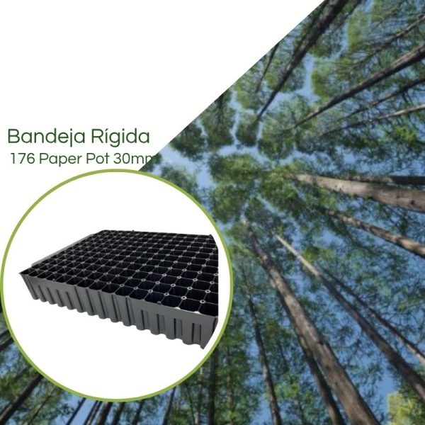 Kit 1 Bandeja Plana 176 Células +TB 55cm para Produção de Mudas Eucalipto