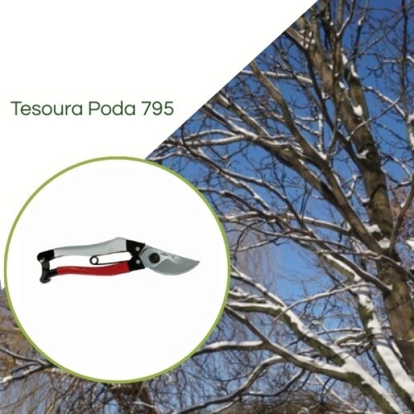 Tesoura de poda LIMMAT 795
