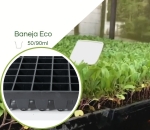 Bandeja  P/ Paper pot 126N (35 x 100mm) - Pacote 5 pç