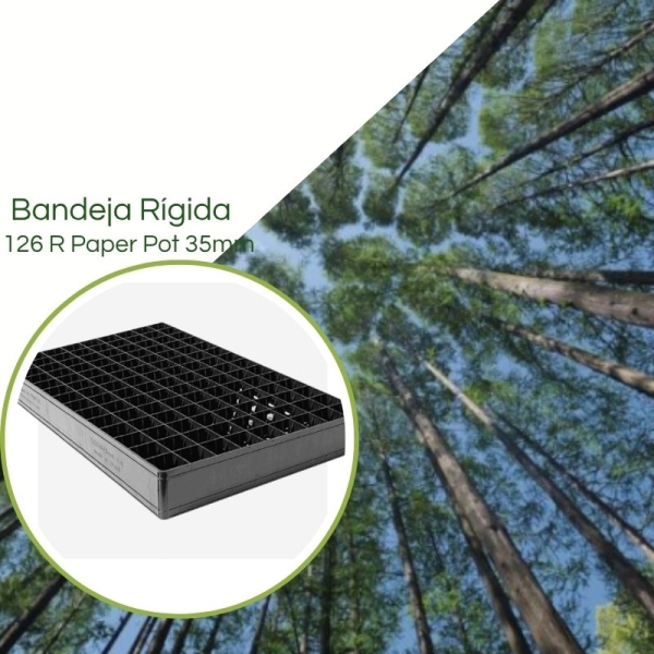 Bandeja  P/ Paper pot 126R (35 x 100mm) - Kit 10 pç 