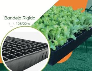 Bandeja Eco Para TB 128/22ML - Cel. Quadrada - Kit 10