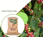  Sacos Para Café  