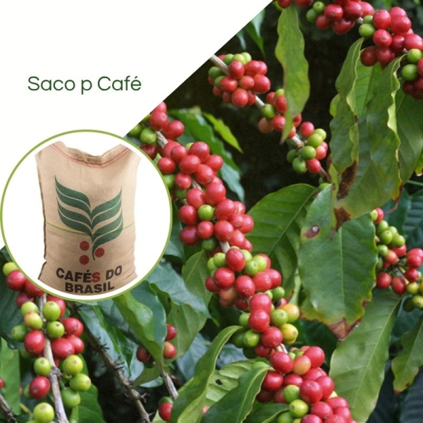  Sacos Para Café  